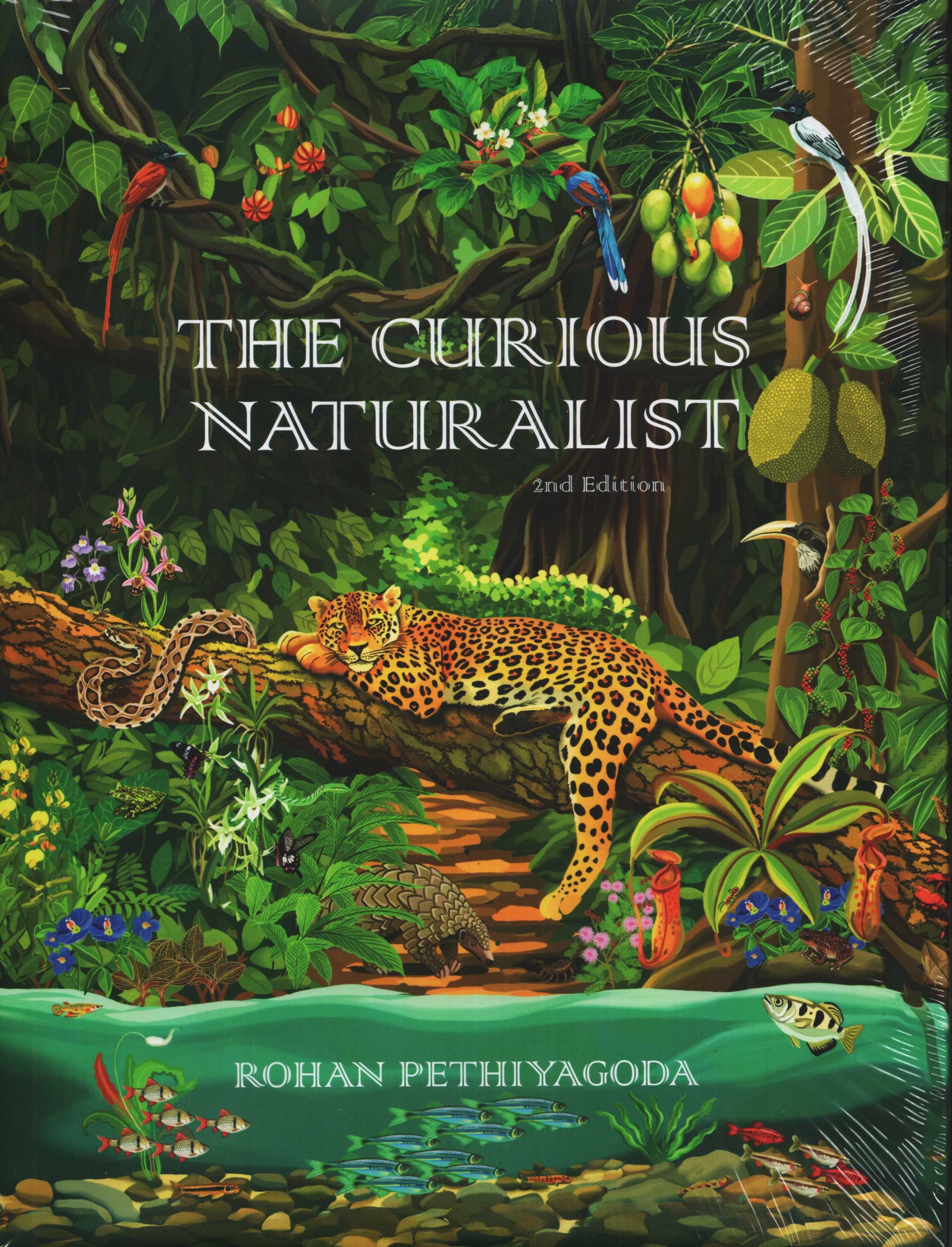 The Curious Naturalist