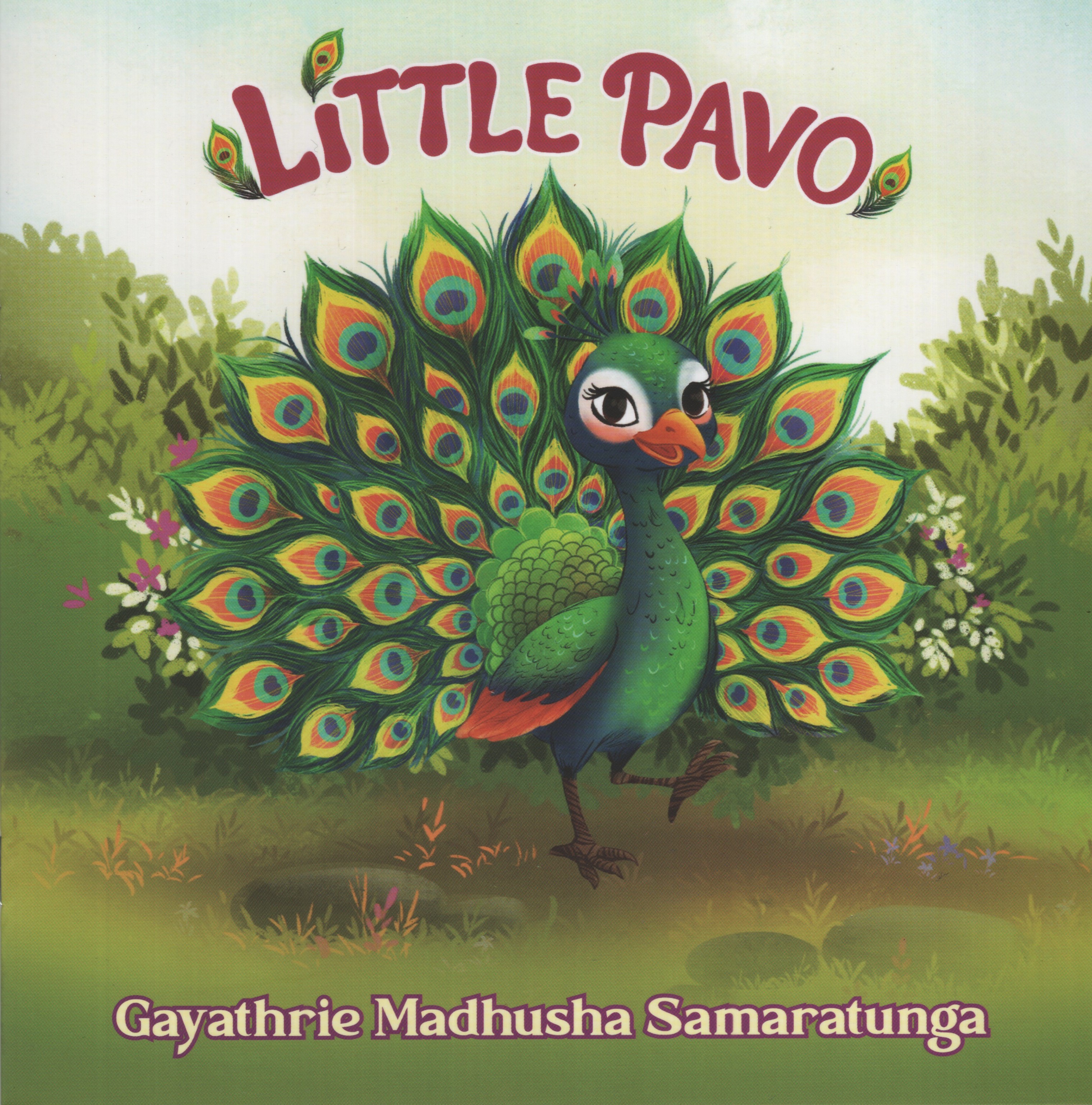 Little Pavo